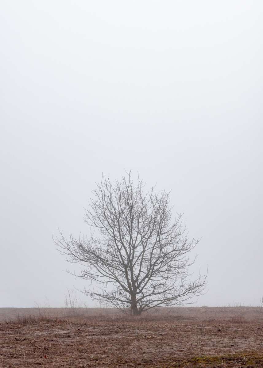 Vinter