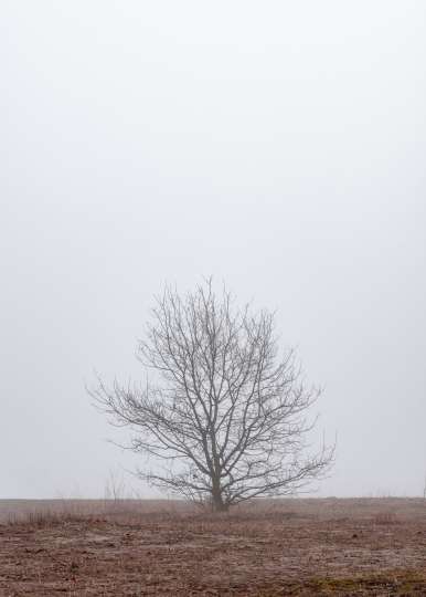Vinter
