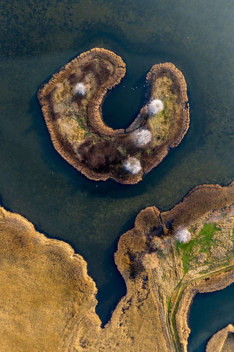 Lille Vejlesø Ø